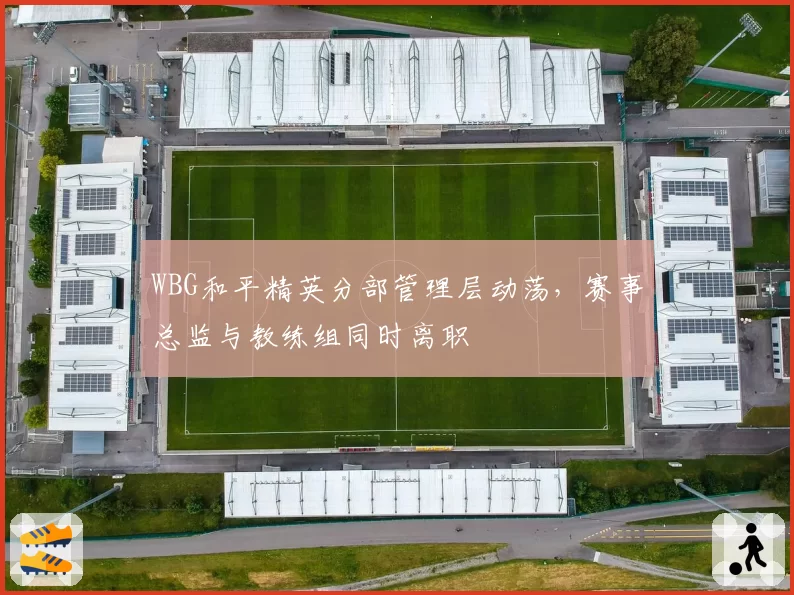 WBG和平精英分部管理层动荡,赛事总监与教练组同时离职