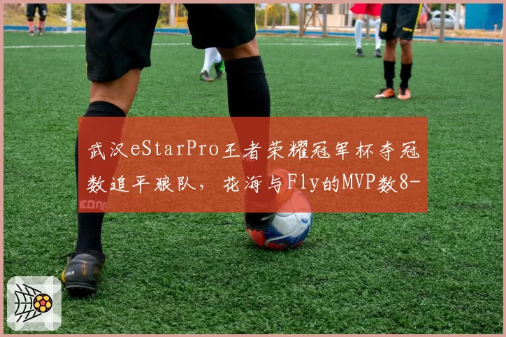武汉eStarPro王者荣耀冠军杯夺冠数追平狼队，花海与Fly的MVP数8-6差距明显