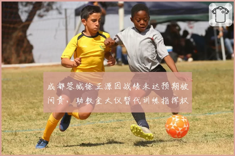 成都蓉城徐正源因战绩未达预期被问责,助教金大仪暂代训练指挥权