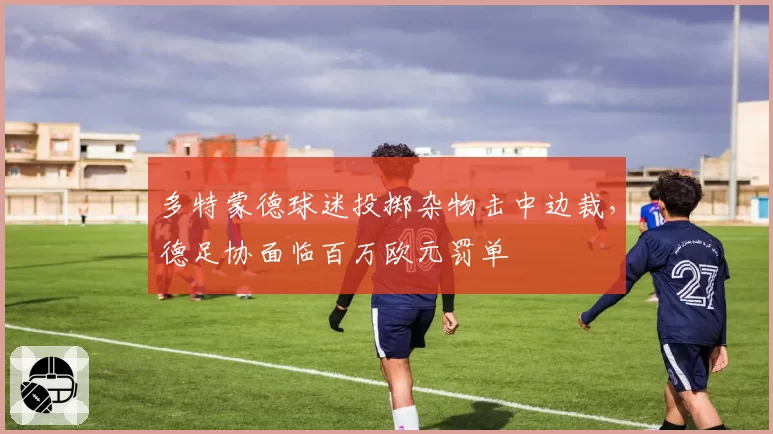 多特蒙德球迷投掷杂物击中边裁，德足协面临百万欧元罚单