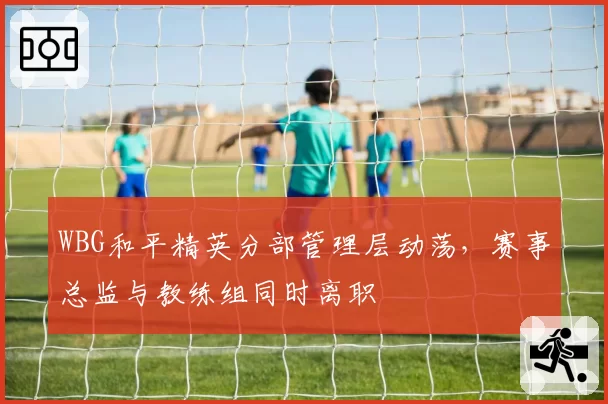 WBG和平精英分部管理层动荡,赛事总监与教练组同时离职