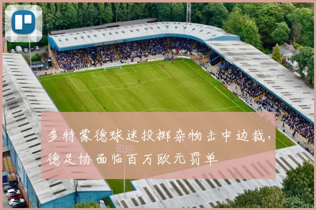 多特蒙德球迷投掷杂物击中边裁,德足协面临百万欧元罚单